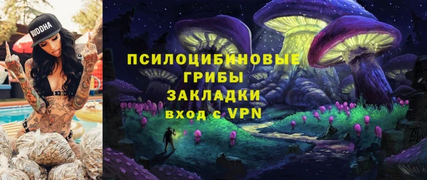 бошки Абинск