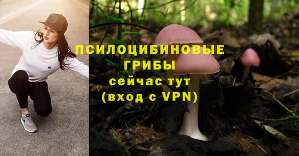 соль курить ск Алексеевка